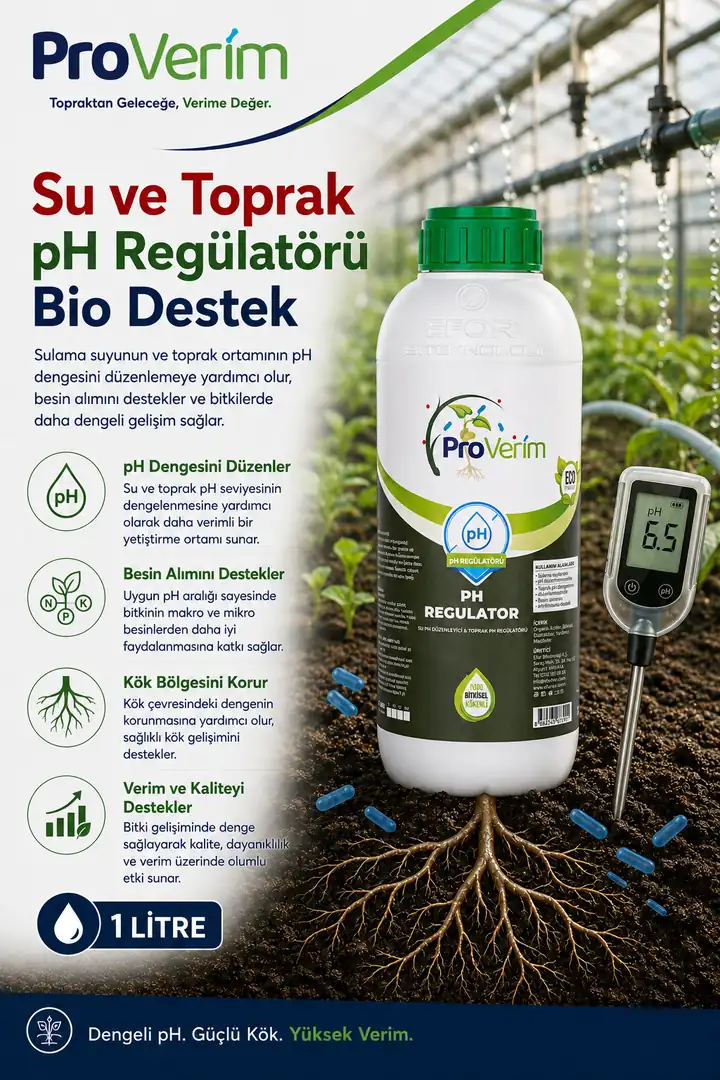 pH Düzenleyici