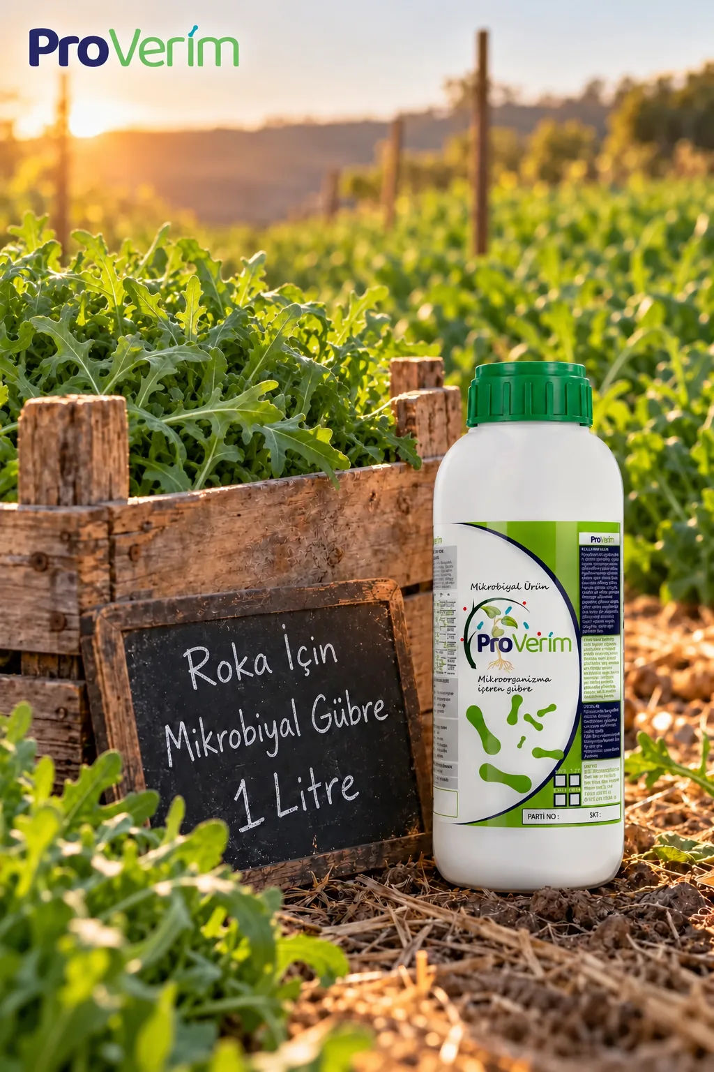 Roka için Mikrobiyal Gübre